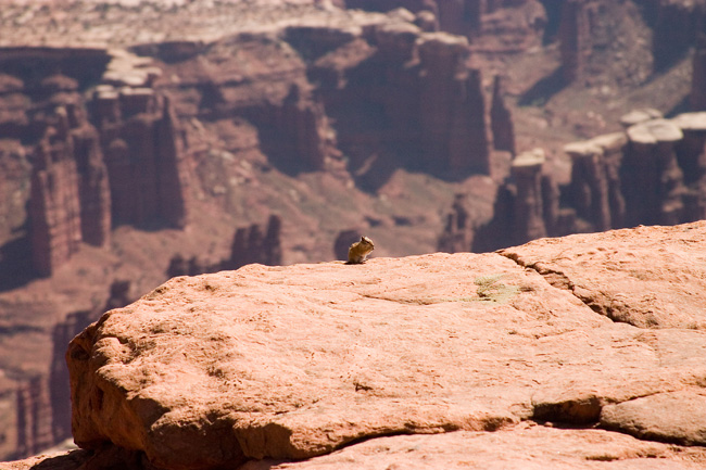 Canyonlands National Park UT