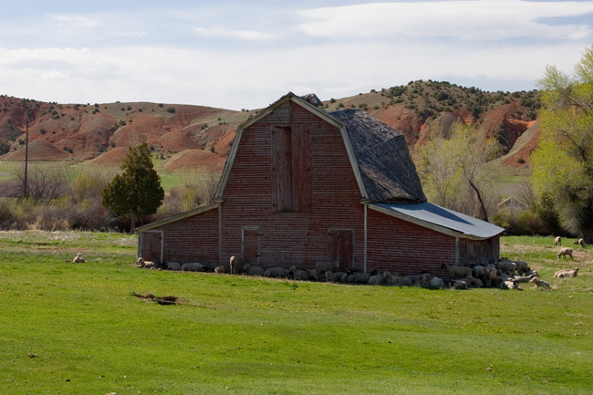 Sheep ranch barn Wyoming