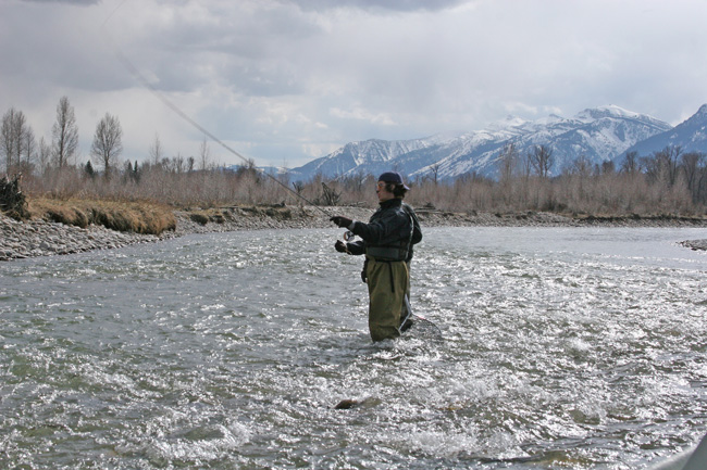 fly fishing snake river grand teton national park wy