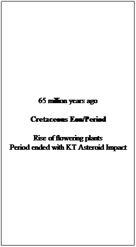 Text Box: 65 million years ago
Cretaceous Eon/Period
Rise of flowering plants
Period ended with KT Asteroid Impact
