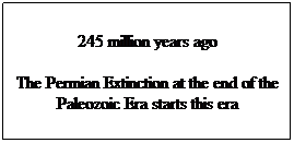 Text Box: 245 million years ago
The Permian Extinction at the end of the Paleozoic Era starts this era
