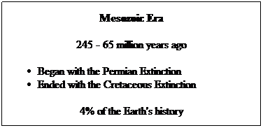 Text Box: Mesozoic Era
245 - 65 million years ago
Began with the Permian Extinction
Ended with the Cretaceous Extinction
4% of the Earth's history
