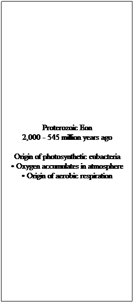 Text Box: Proterozoic Eon
2,000 - 545 million years ago
Origin of photosynthetic eubacteria
 Oxygen accumulates in atmosphere
 Origin of aerobic respiration
