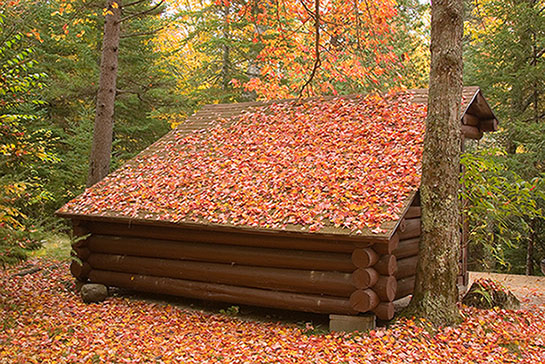 Lean-to in Autumn, Baxter State Park, Maine