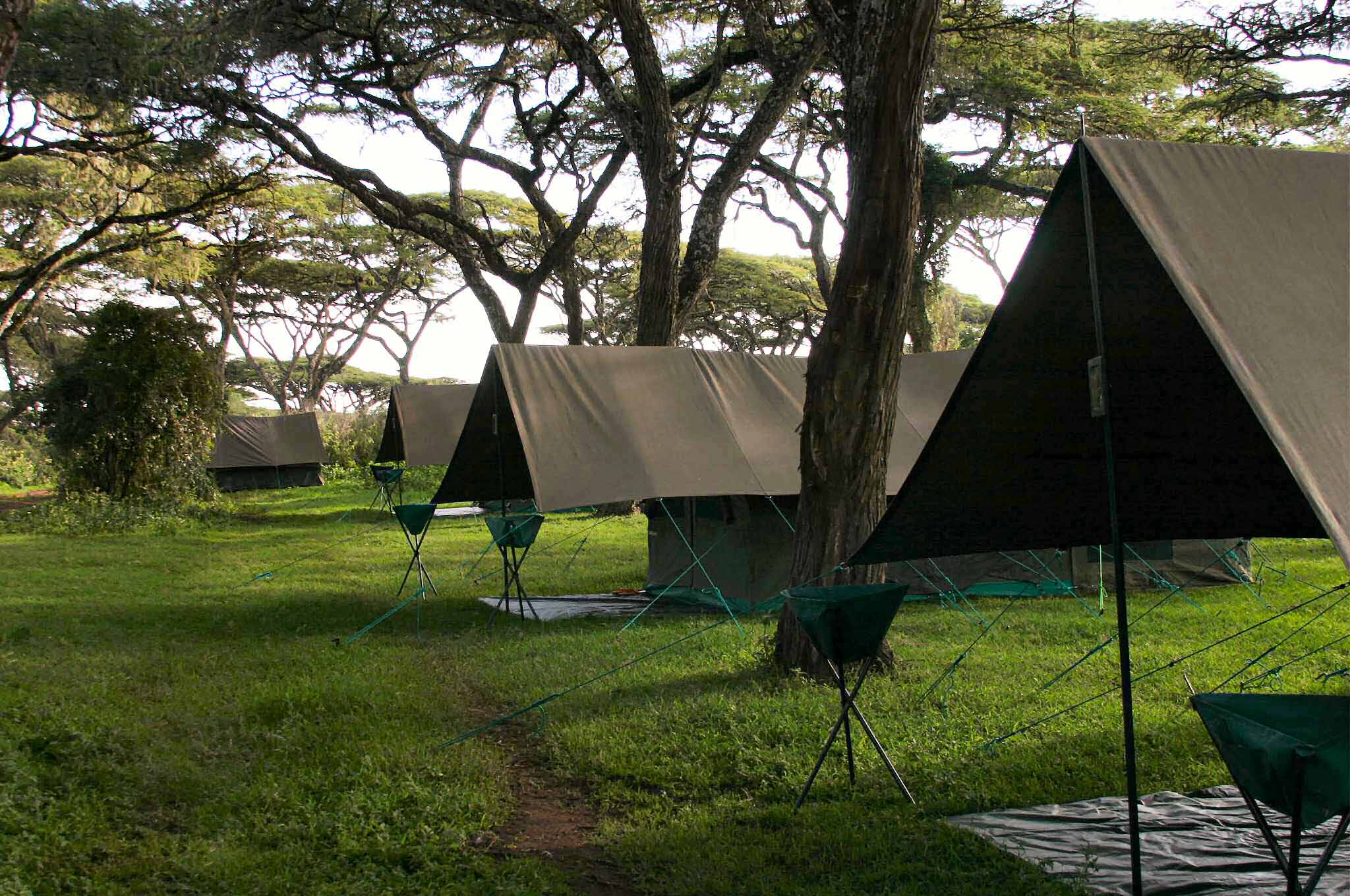 Forest tent camp on Ngorongoro Crater rim